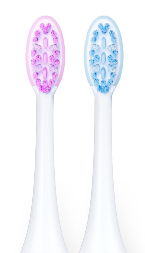 VITAMMY AURUM ROSE Szczoteczka soniczna do zębów z polerowaniem, elegancki design VITAMMY AURUM ROSE Szczoteczka soniczna do zębów z polerowaniem, elegancki design